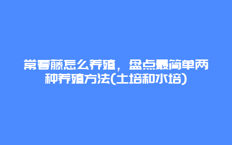 常春藤怎么养殖，盘点最简单两种养殖方法(土培和水培)