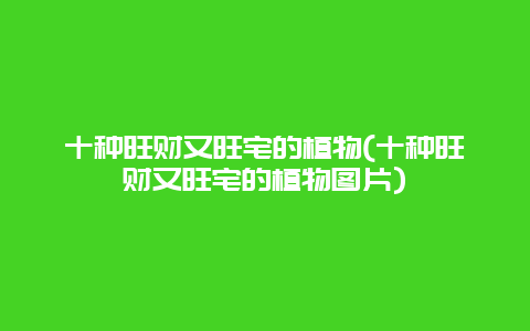 十种旺财又旺宅的植物(十种旺财又旺宅的植物图片)