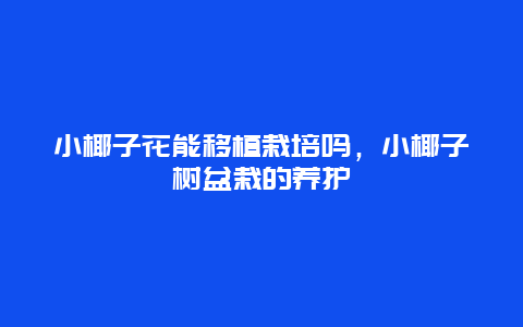 小椰子花能移植栽培吗，小椰子树盆栽的养护