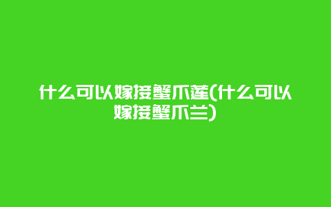 什么可以嫁接蟹爪莲(什么可以嫁接蟹爪兰)