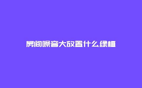 房间噪音大放置什么绿植