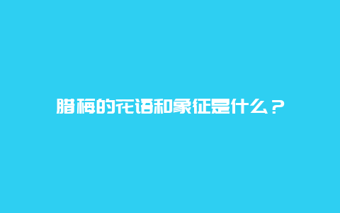 腊梅的花语和象征是什么？