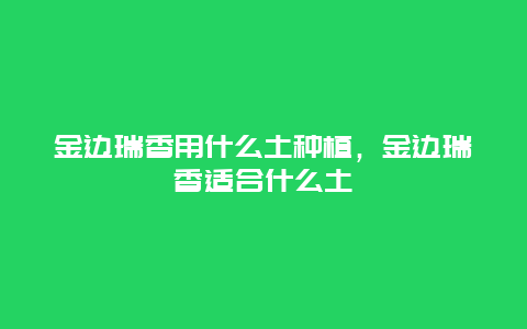 金边瑞香用什么土种植，金边瑞香适合什么土