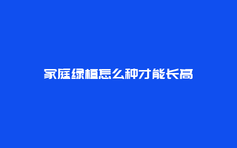 家庭绿植怎么种才能长高