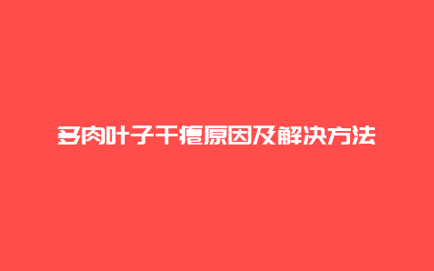 多肉叶子干瘪原因及解决方法