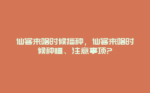 仙客来啥时候播种，仙客来啥时候种植、注意事项?