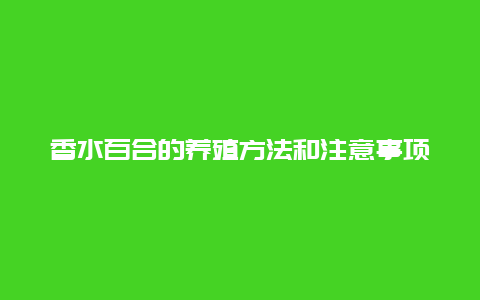 香水百合的养殖方法和注意事项