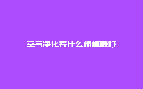 空气净化养什么绿植最好