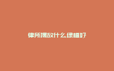 律所摆放什么绿植好