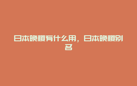 日本晚樱有什么用，日本晚樱别名