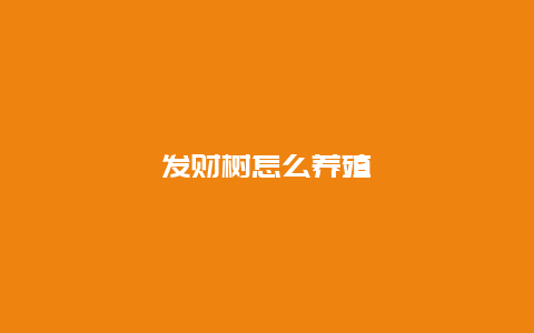 发财树怎么养殖