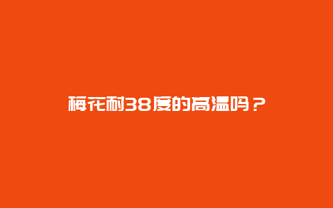 梅花耐38度的高温吗？