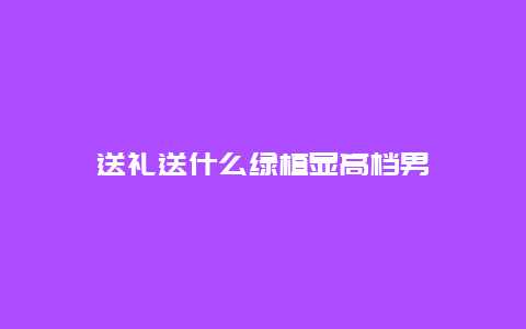 送礼送什么绿植显高档男