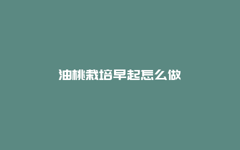 油桃栽培早起怎么做