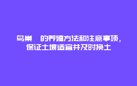 鸟巢蕨的养殖方法和注意事项，保证土壤适宜并及时换土