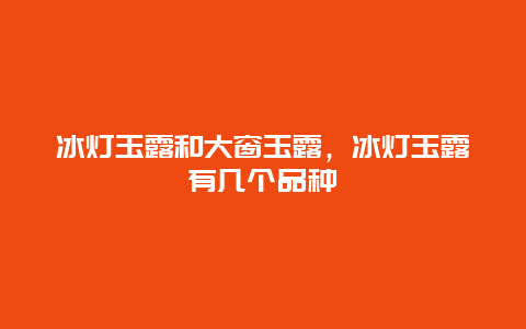 冰灯玉露和大窗玉露，冰灯玉露有几个品种