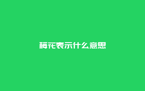 梅花表示什么意思