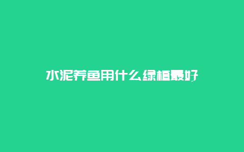 水泥养鱼用什么绿植最好