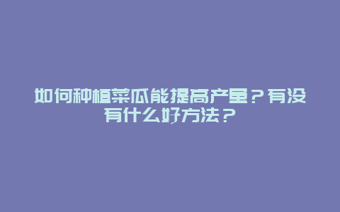 如何种植菜瓜能提高产量？有没有什么好方法？