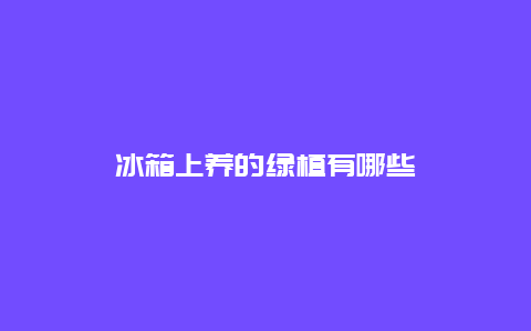 冰箱上养的绿植有哪些