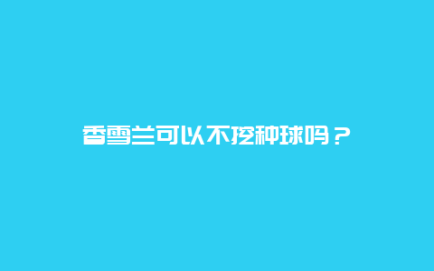 香雪兰可以不挖种球吗？