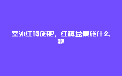 室外红梅施肥，红梅盆景施什么肥