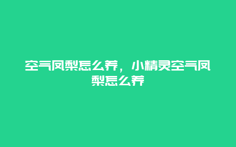 空气凤梨怎么养，小精灵空气凤梨怎么养