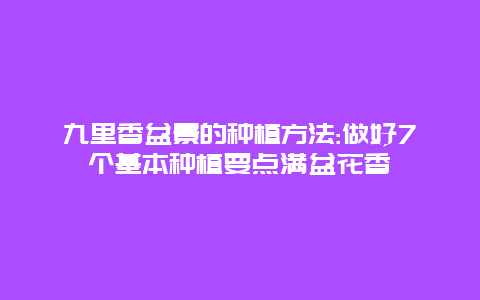 九里香盆景的种植方法:做好7个基本种植要点满盆花香