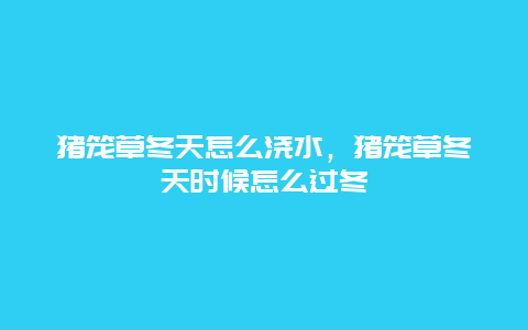 猪笼草冬天怎么浇水，猪笼草冬天时候怎么过冬