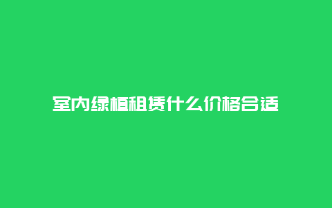 室内绿植租赁什么价格合适