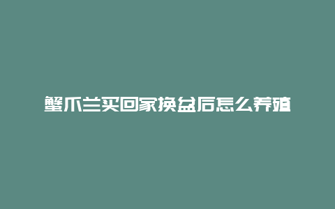 蟹爪兰买回家换盆后怎么养殖