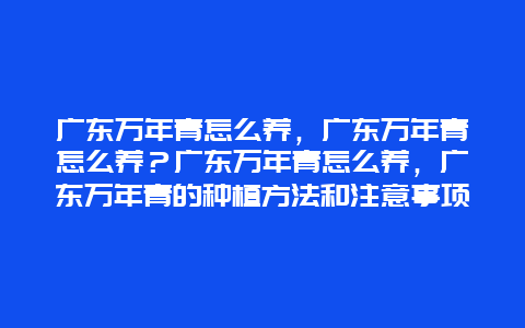 广东万年青怎么养，广东万年青怎么养？广东万年青怎么养，广东万年青的种植方法和注意事项