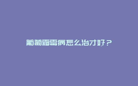 葡萄霜霉病怎么治才好？