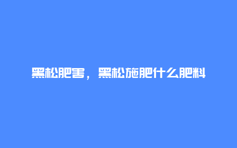 黑松肥害，黑松施肥什么肥料