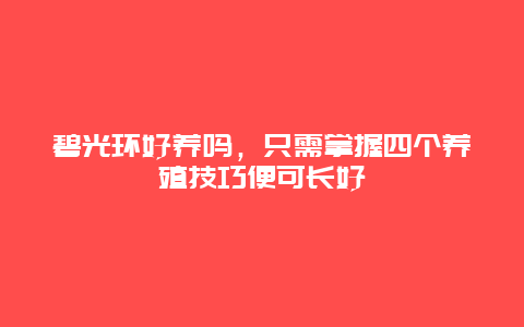 碧光环好养吗，只需掌握四个养殖技巧便可长好