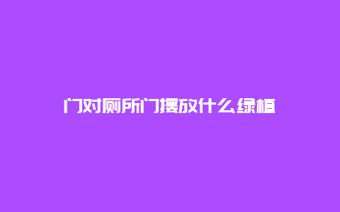 门对厕所门摆放什么绿植