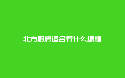 北方厨房适合养什么绿植