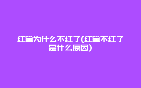 红掌为什么不红了(红掌不红了是什么原因)