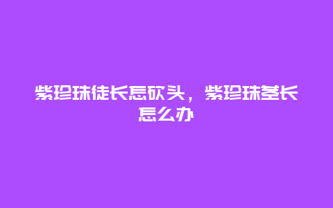 紫珍珠徒长怎砍头，紫珍珠茎长怎么办