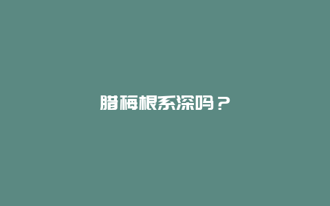 腊梅根系深吗？