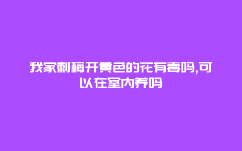 我家刺梅开黄色的花有毒吗,可以在室内养吗