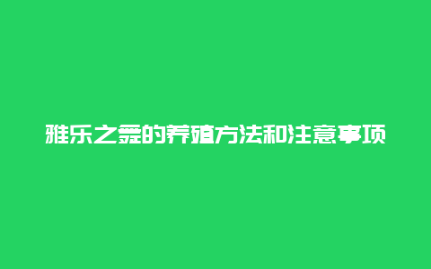 雅乐之舞的养殖方法和注意事项