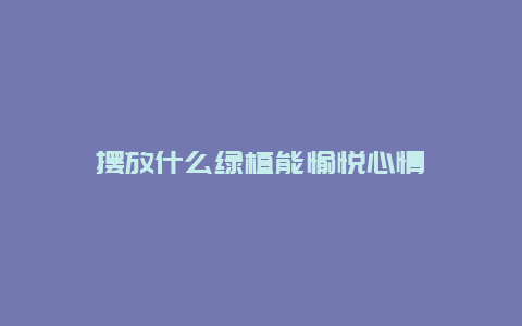 摆放什么绿植能愉悦心情