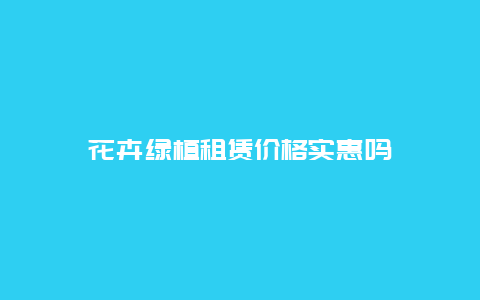 花卉绿植租赁价格实惠吗