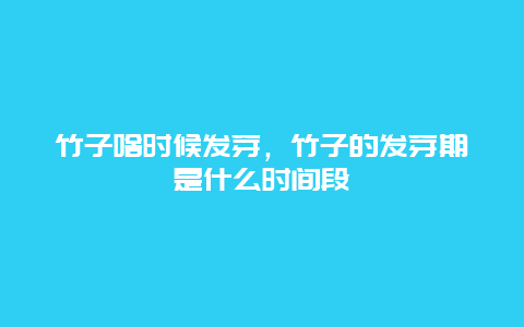 竹子啥时候发芽，竹子的发芽期是什么时间段