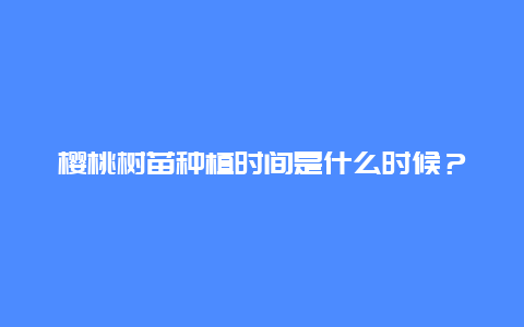 樱桃树苗种植时间是什么时候？