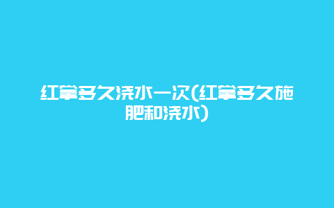 红掌多久浇水一次(红掌多久施肥和浇水)