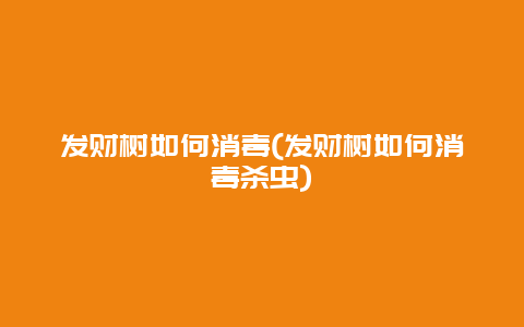 发财树如何消毒(发财树如何消毒杀虫)