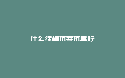 什么绿植抗寒抗旱好