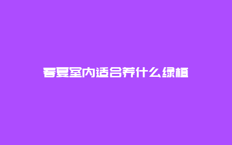 春夏室内适合养什么绿植